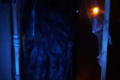 Halloween 2019 Grusel